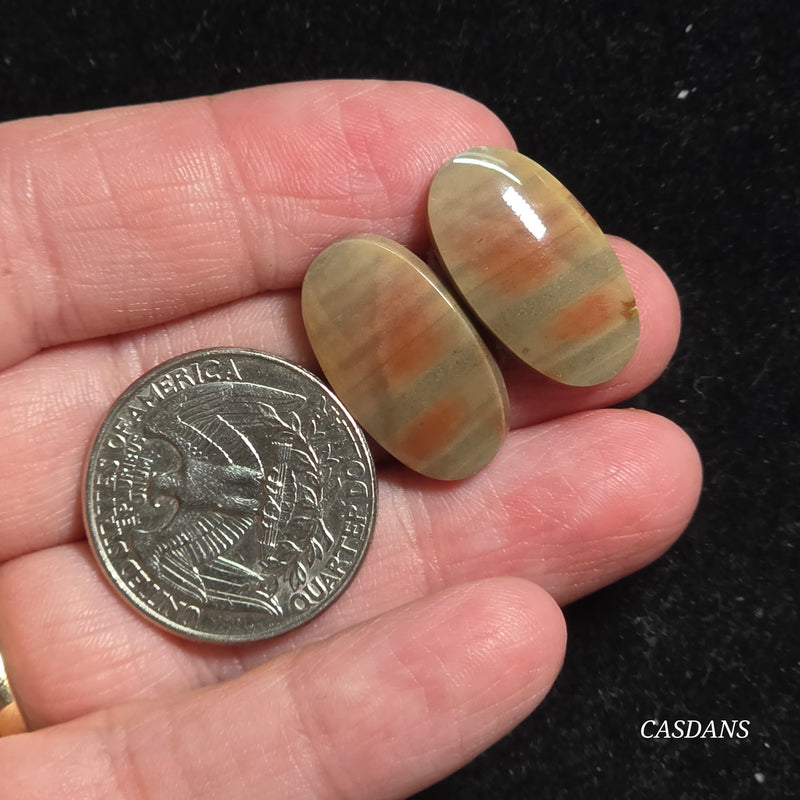 Polychrome Jasper Cabochon Pair
