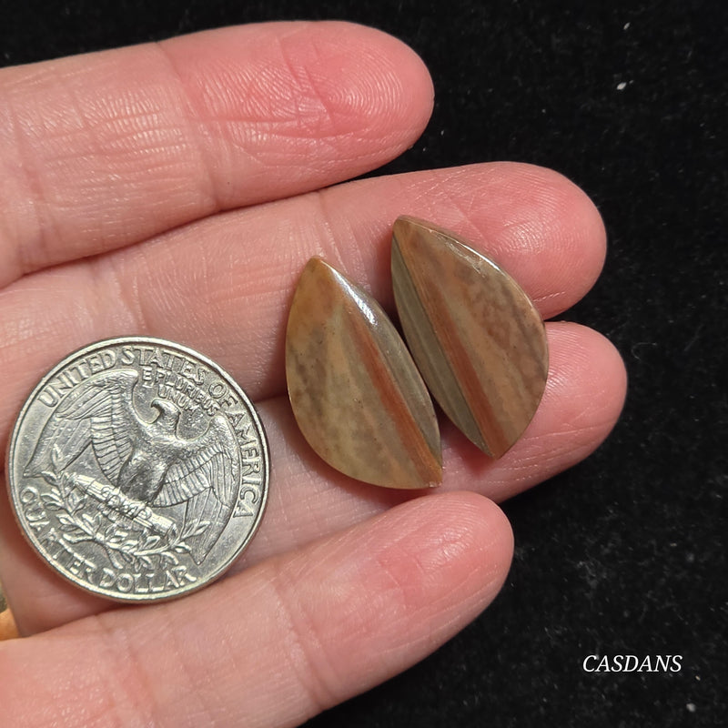 Polychrome Jasper Cabochon Pair