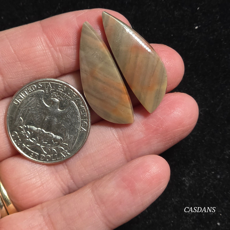 Polychrome Jasper Cabochon Pair