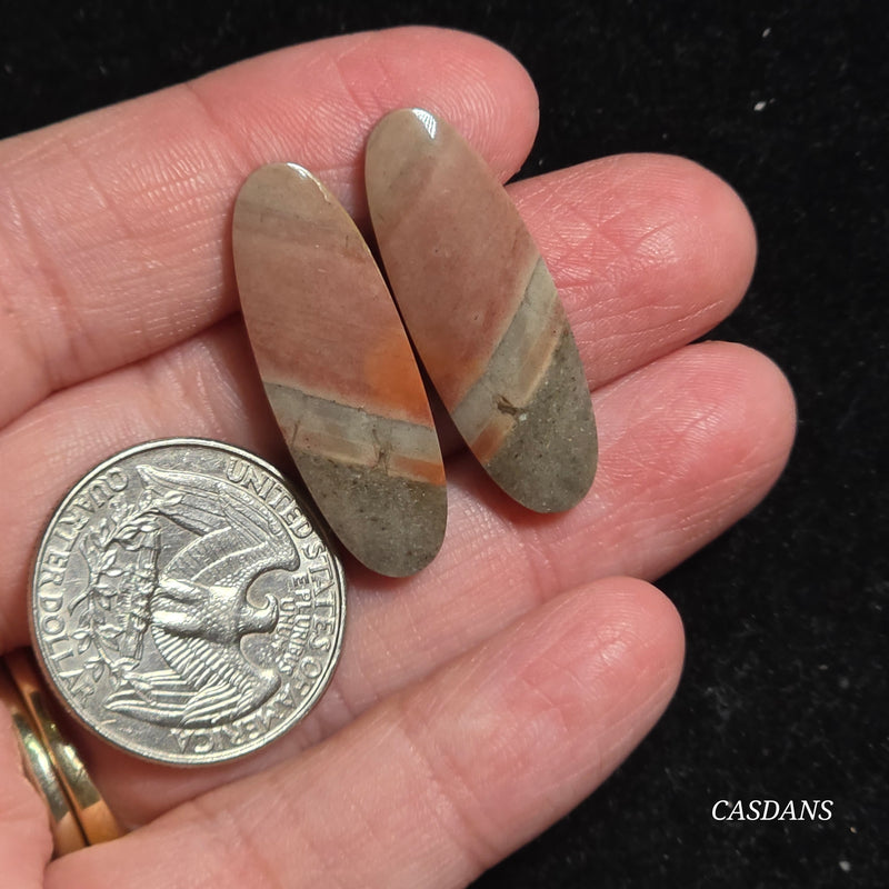 Polychrome Jasper Cabochon Pair