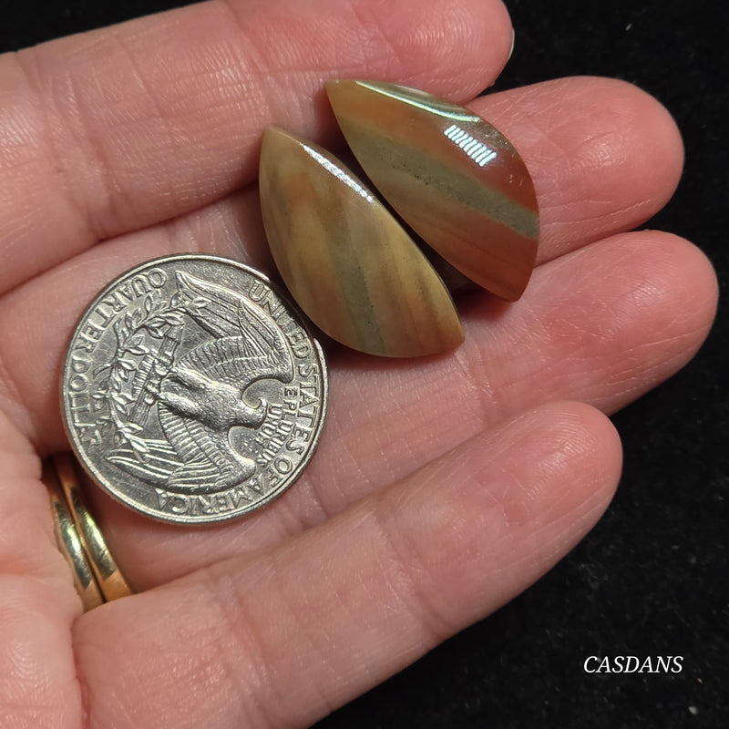 Polychrome Jasper Cabochon Pair