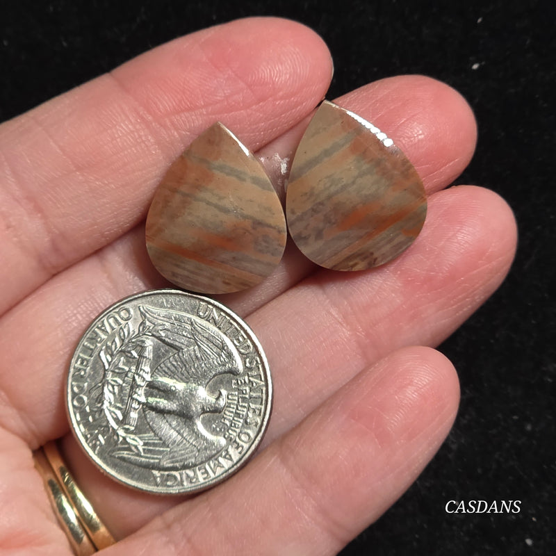 Polychrome Jasper Cabochon Pair