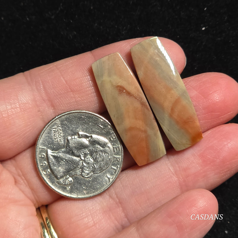 Polychrome Jasper Cabochon Pair