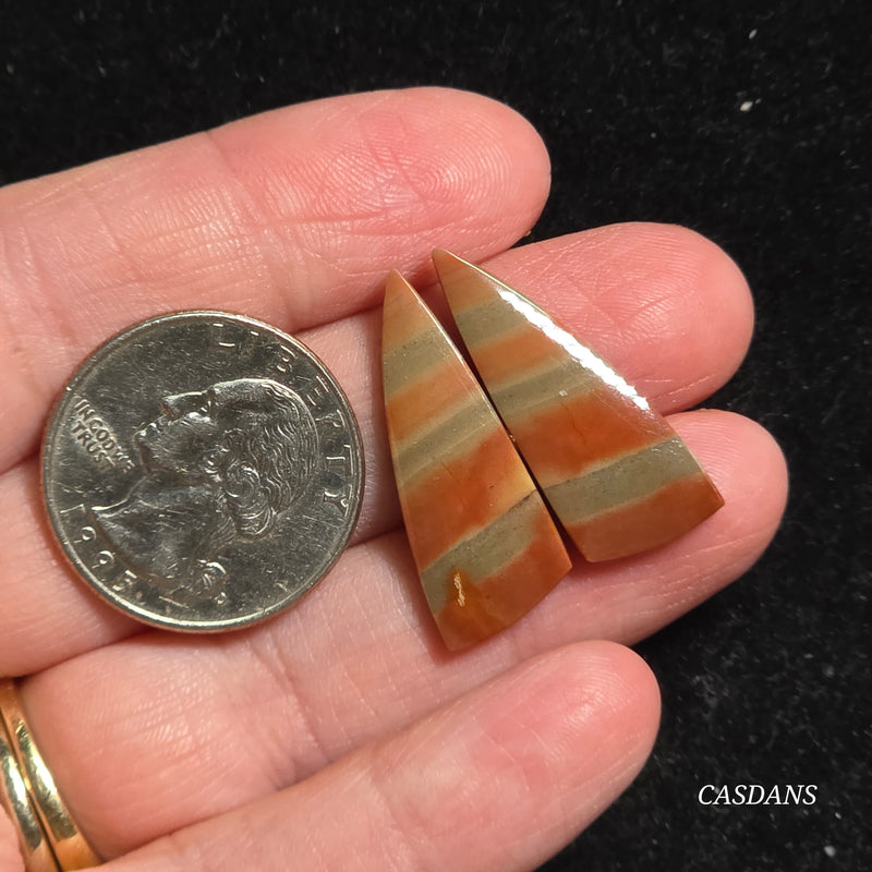 Polychrome Jasper Cabochon Pair