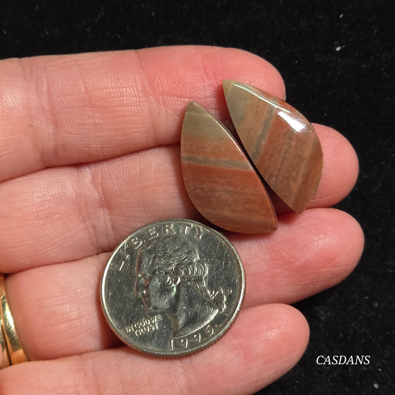 Polychrome Jasper Cabochon Pair