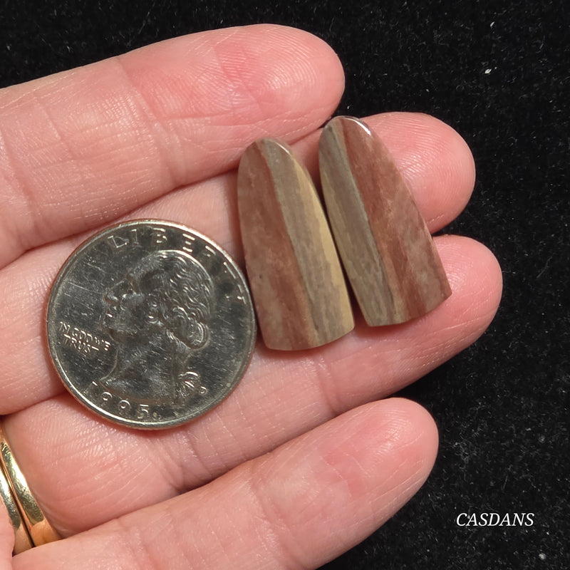 Polychrome Jasper Cabochon Pair
