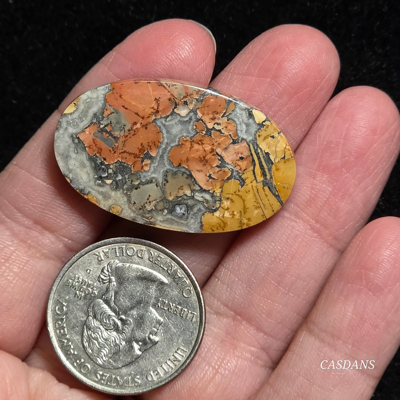Maligano Jasper Cabochon