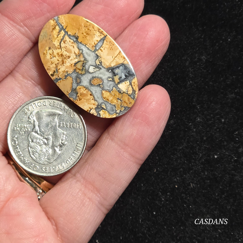 Maligano Jasper Cabochon