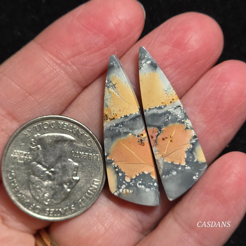 Maligano Jasper Cabochon Pair