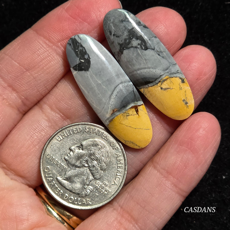 Maligano Jasper Cabochon Pair