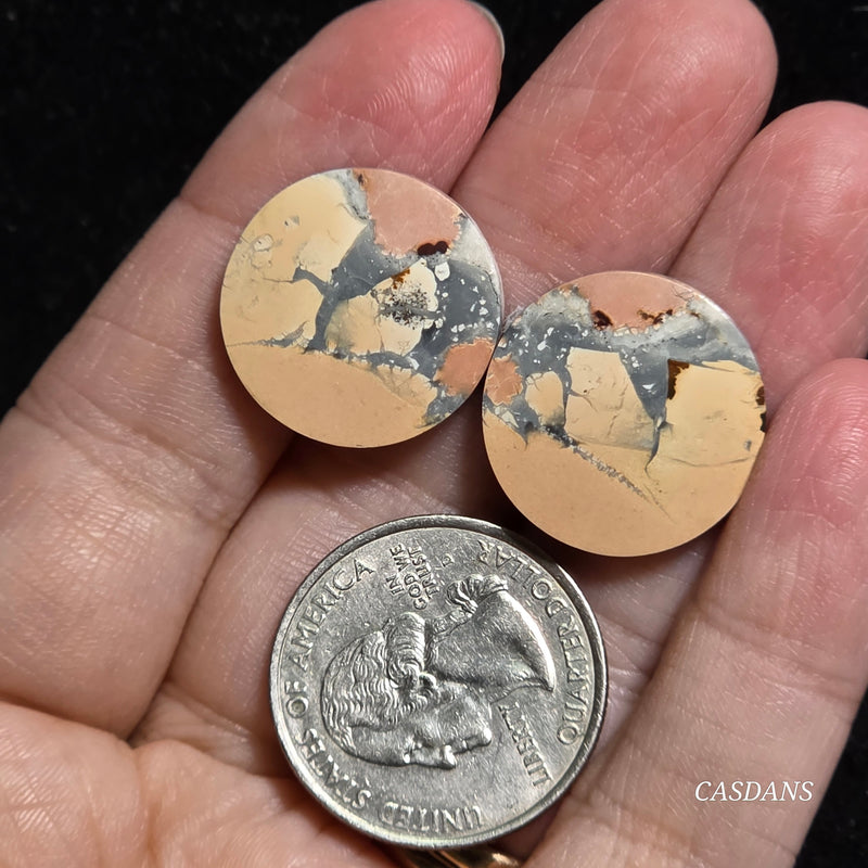 Maligano Jasper Cabochon Pair