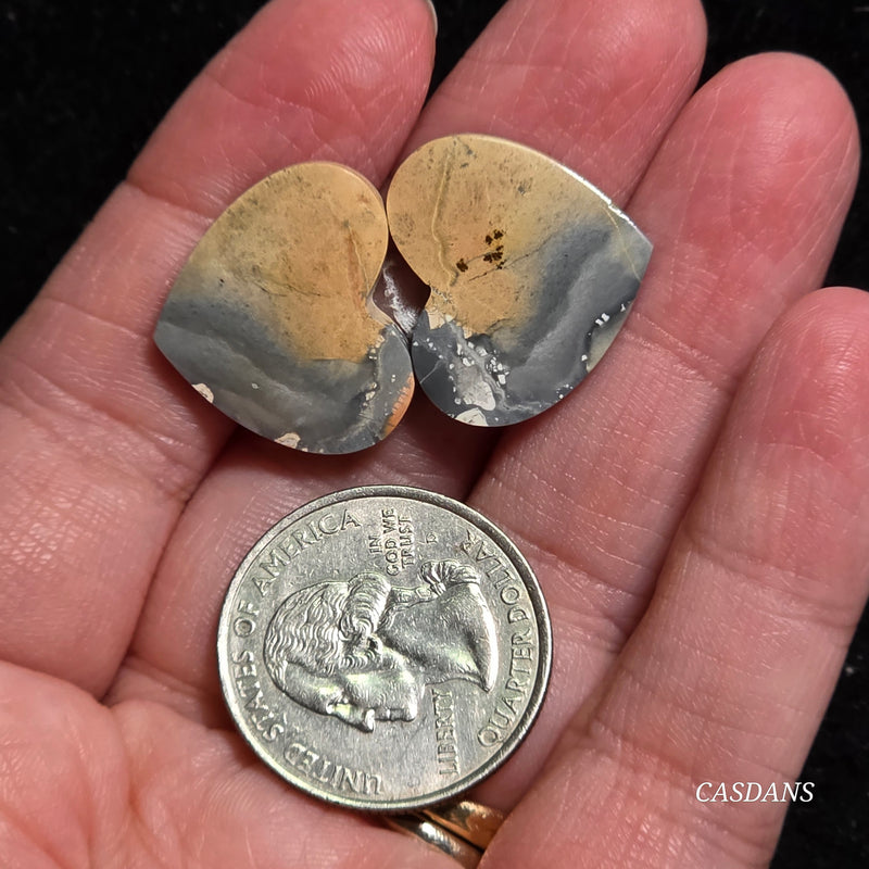 Maligano Jasper Cabochon Pair