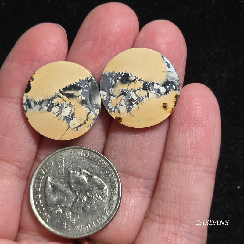 Maligano Jasper Cabochon Pair