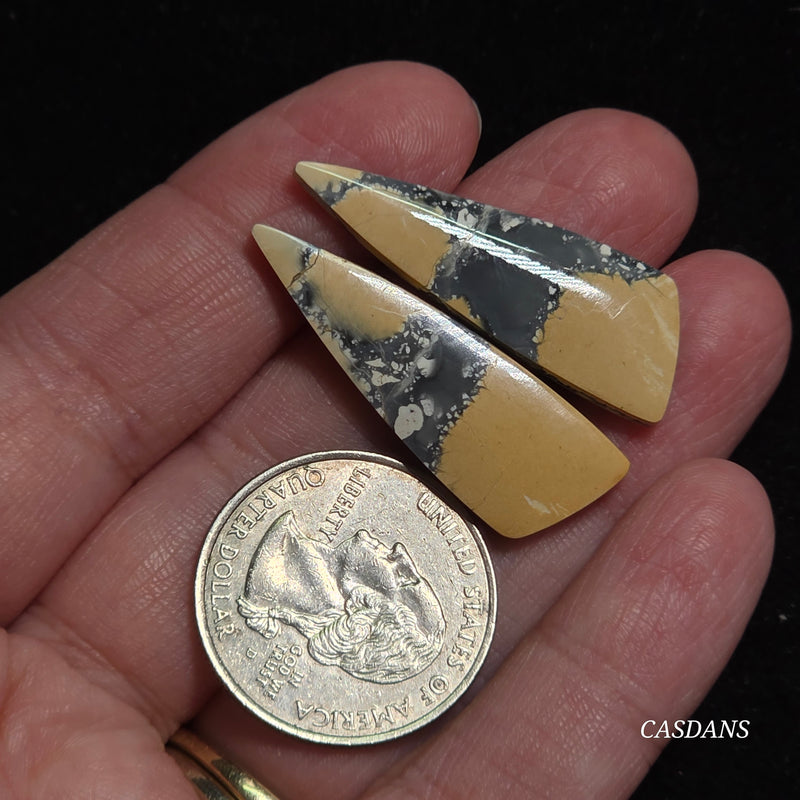 Maligano Jasper Cabochon Pair