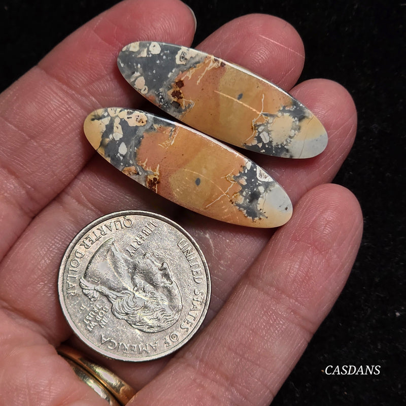 Maligano Jasper Cabochon Pair