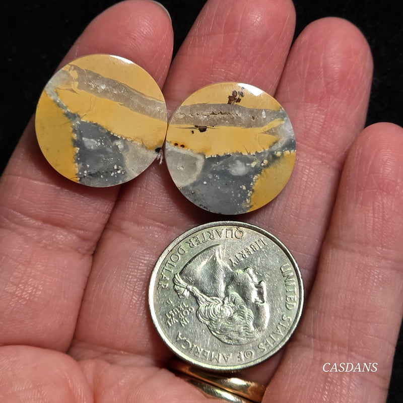 Maligano Jasper Cabochon Pair