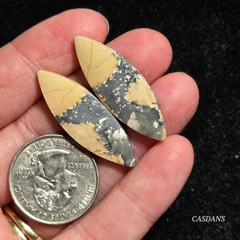 Maligano Jasper Cabochon Pair