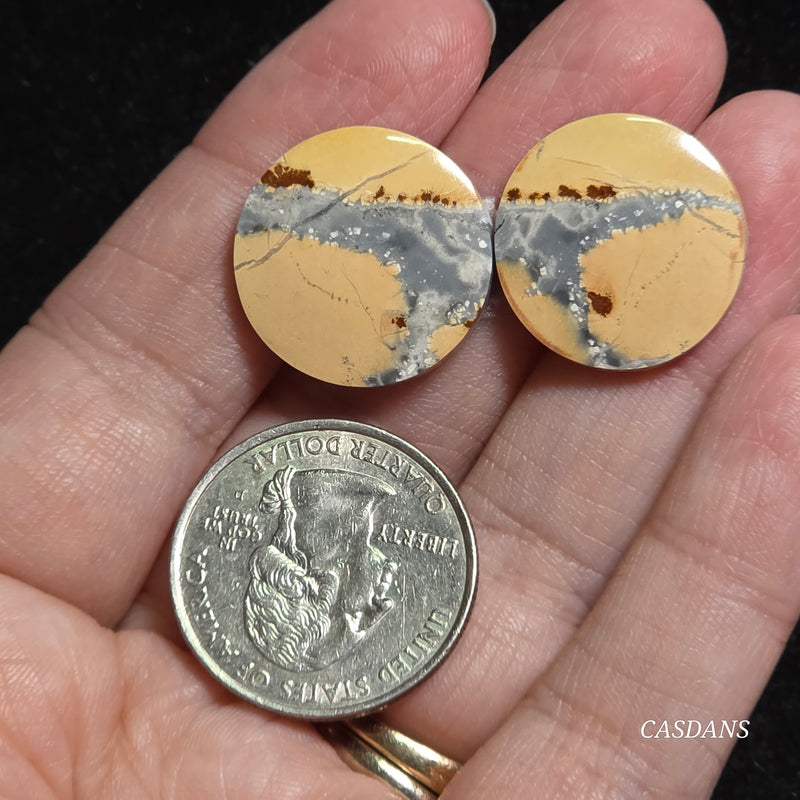 Maligano Jasper Cabochon Pair