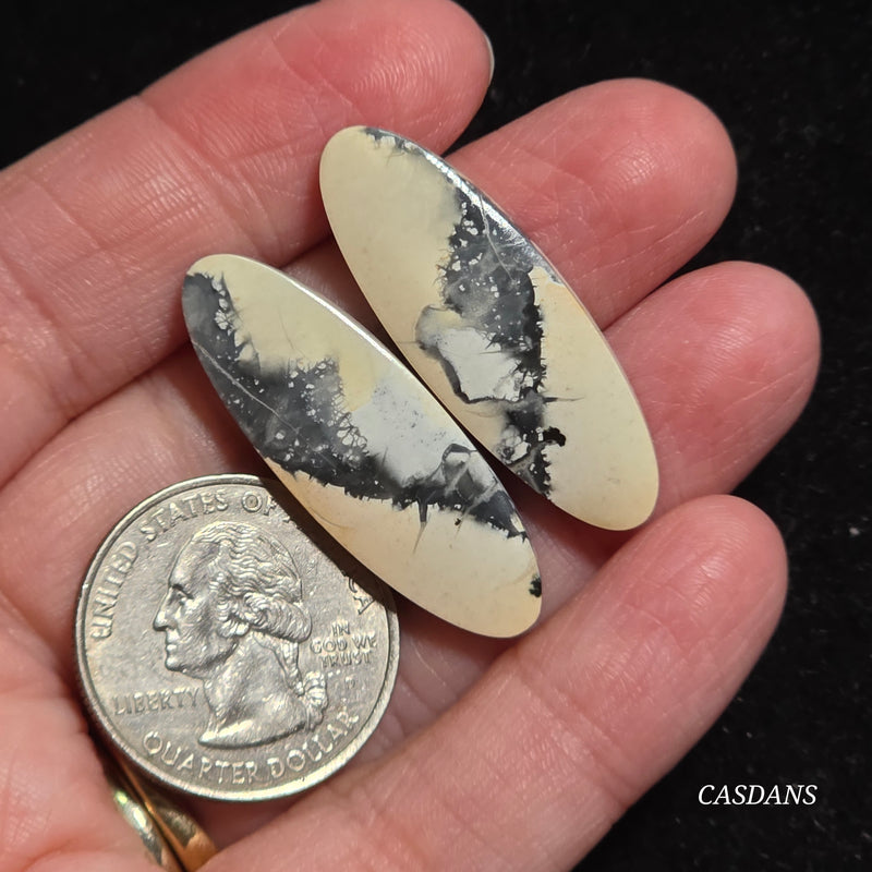 Maligano Jasper Cabochon Pair
