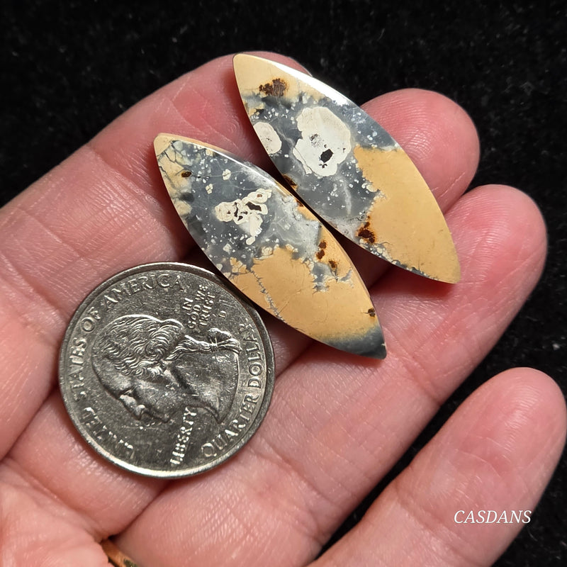 Maligano Jasper Cabochon Pair