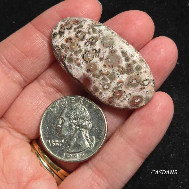 Leopard Skin Jasper Cabochon *IMPERFECT*