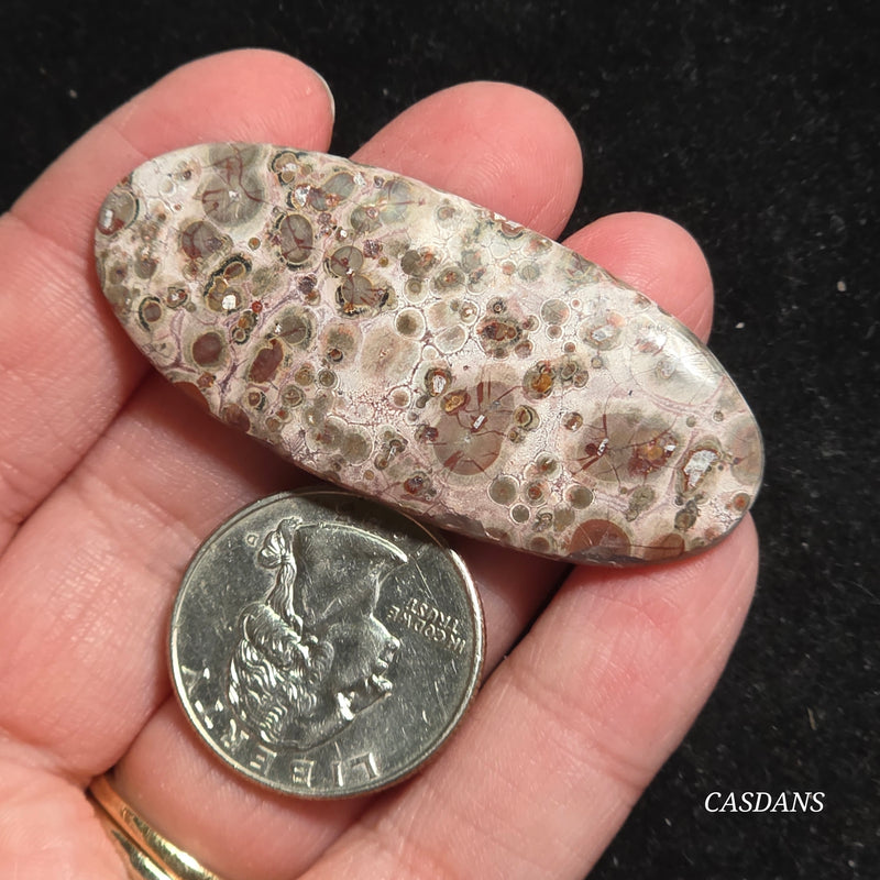 Leopard Skin Jasper Cabochon *IMPERFECT*