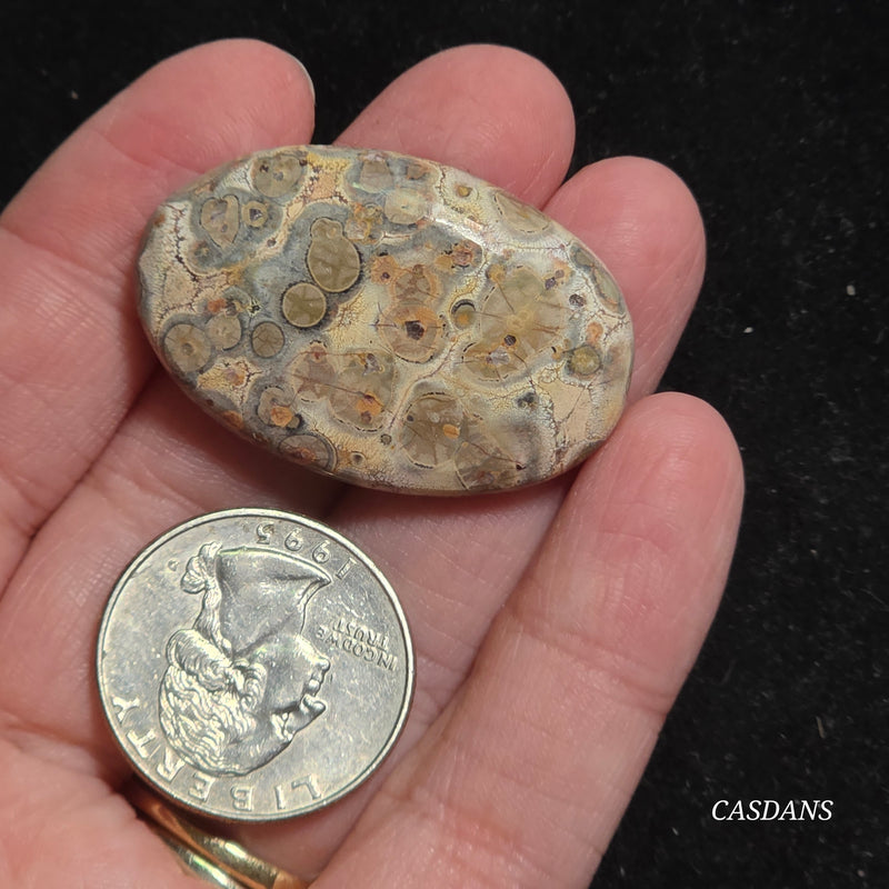 Leopard Skin Jasper Cabochon *IMPERFECT*