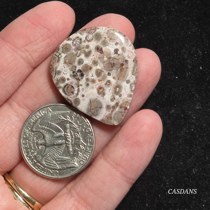 Leopard Skin Jasper Cabochon *IMPERFECT*