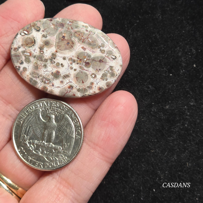 Leopard Skin Jasper Cabochon *IMPERFECT*