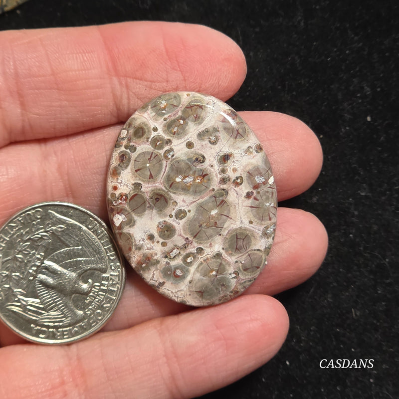 Leopard Skin Jasper Cabochon *IMPERFECT*