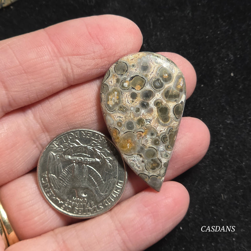 Leopard Skin Jasper Cabochon *IMPERFECT*