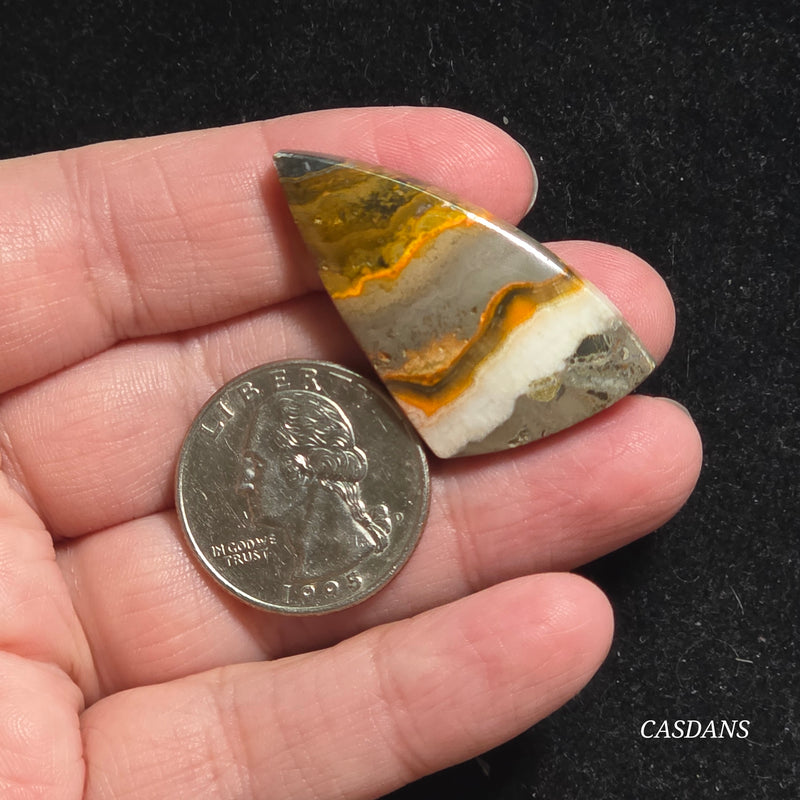 Bumblebee Jasper Cabochon