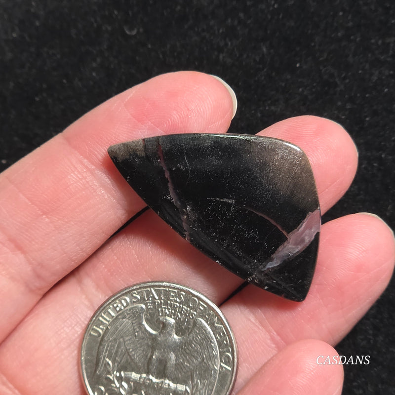 Agatized Wood Cabochon