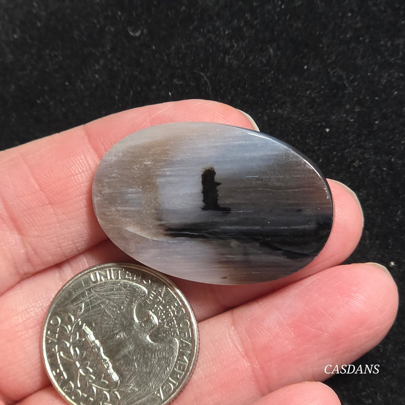 Agatized Wood Cabochon