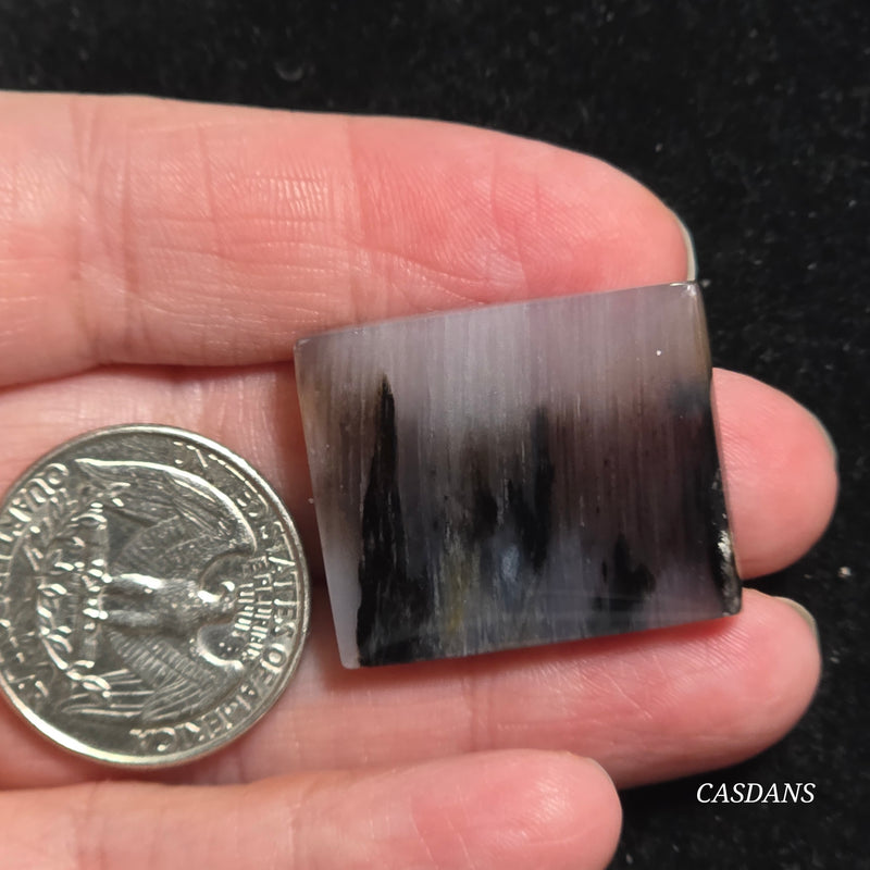 Agatized Wood Cabochon