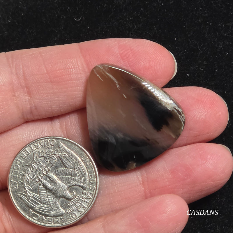 Agatized Wood Cabochon