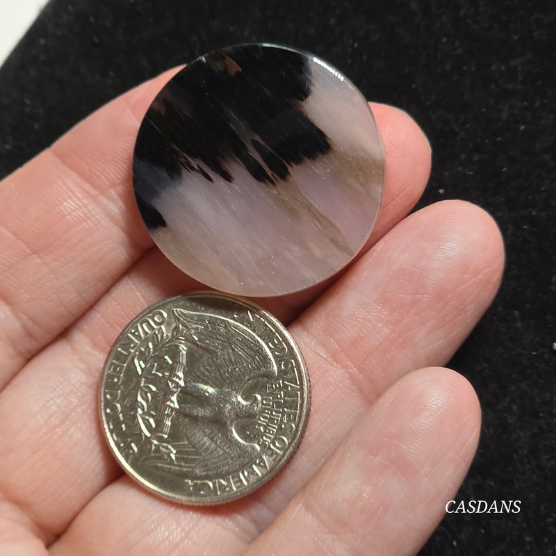 Agatized Wood Cabochon