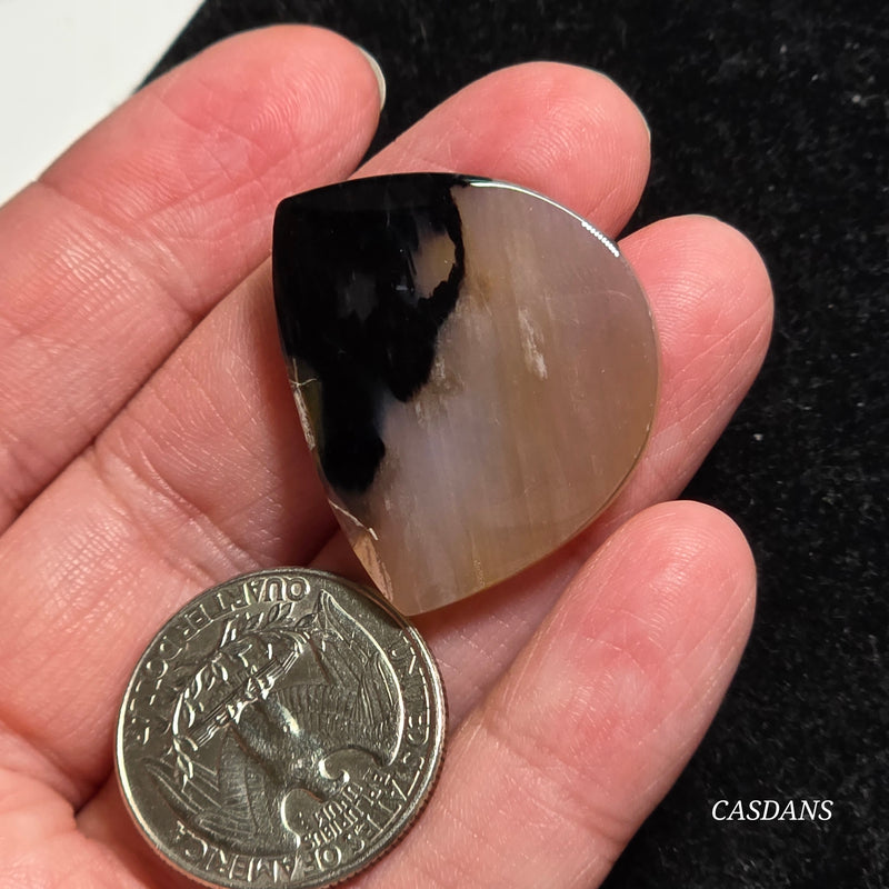 Agatized Wood Cabochon