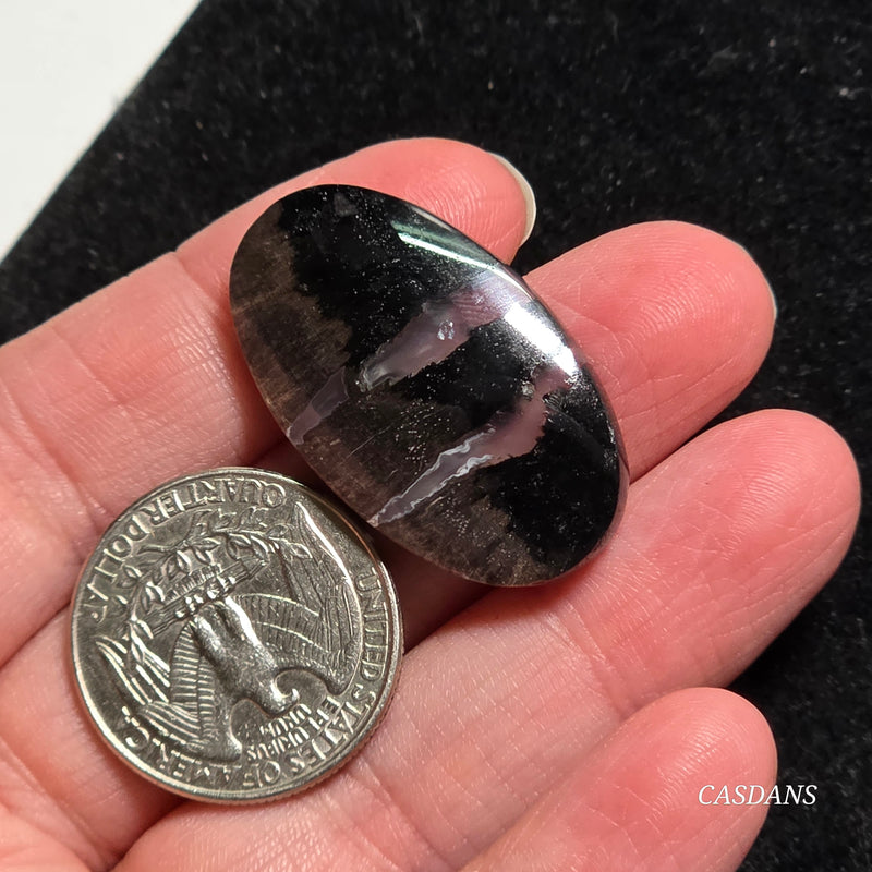 Agatized Wood Cabochon