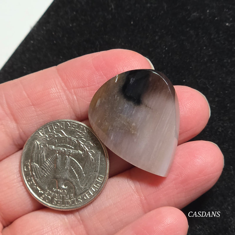 Agatized Wood Cabochon