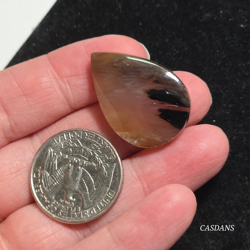 Agatized Wood Cabochon