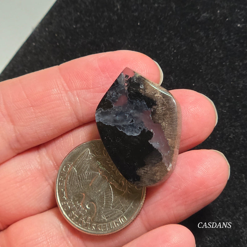 Agatized Wood Cabochon