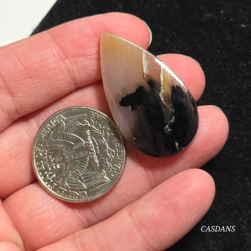 Agatized Wood Cabochon