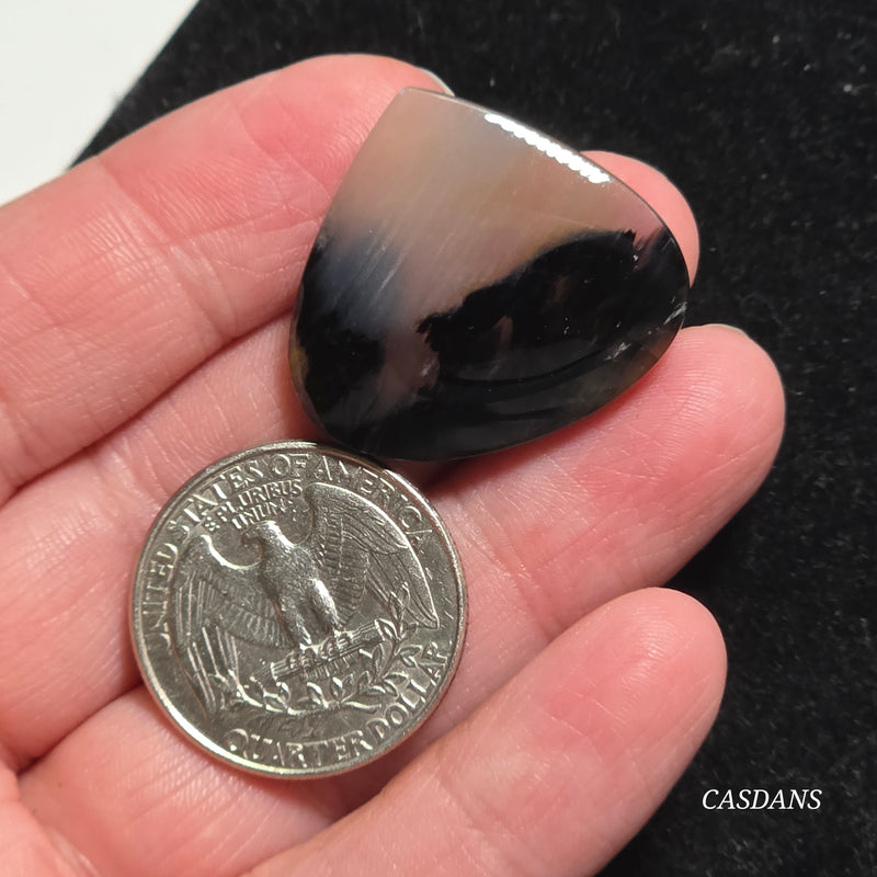 Agatized Wood Cabochon