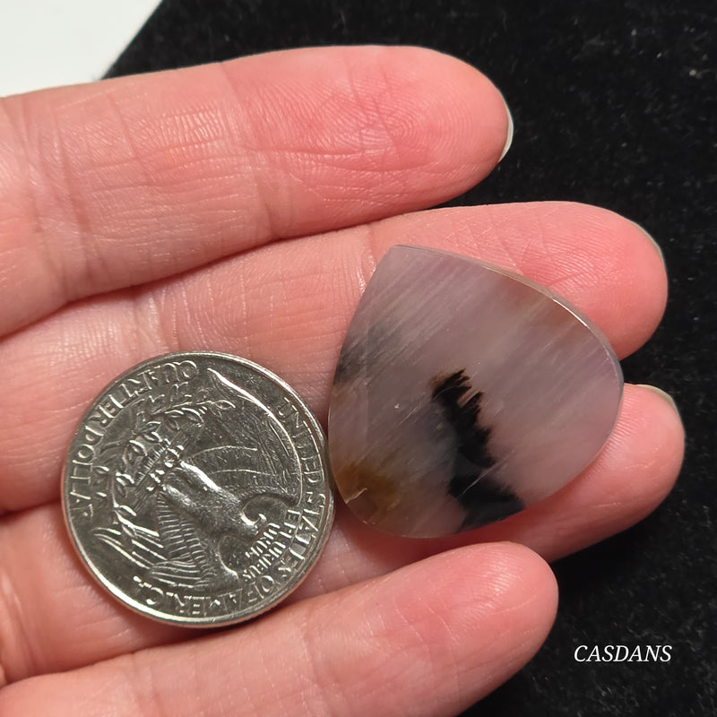 Agatized Wood Cabochon