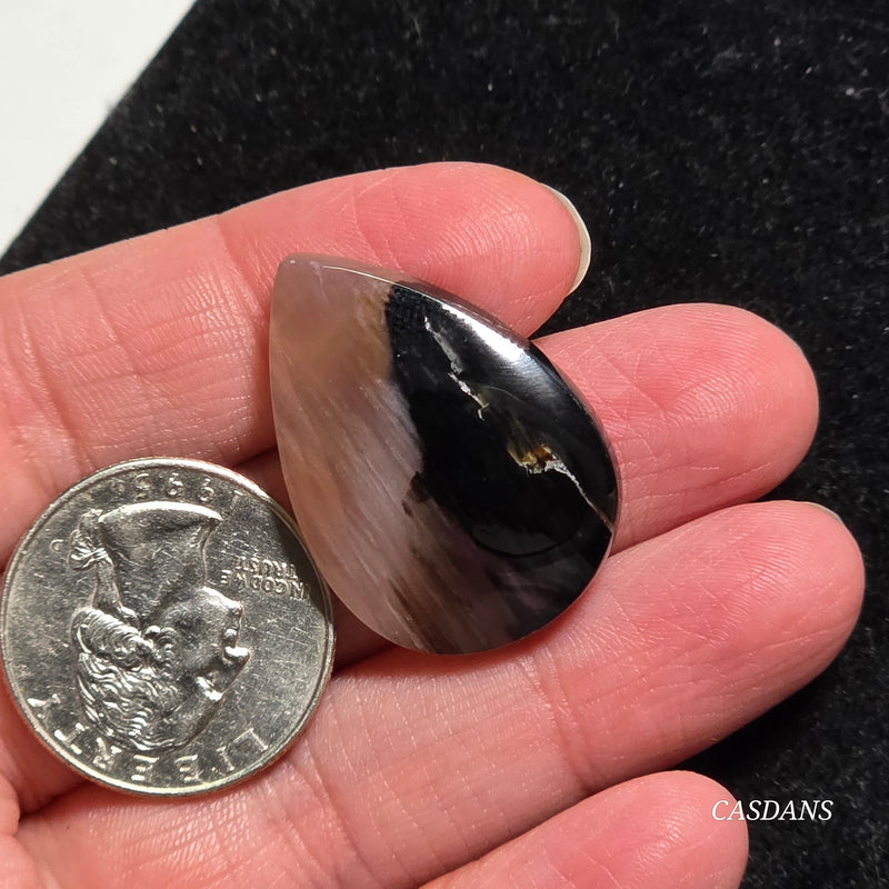 Agatized Wood Cabochon