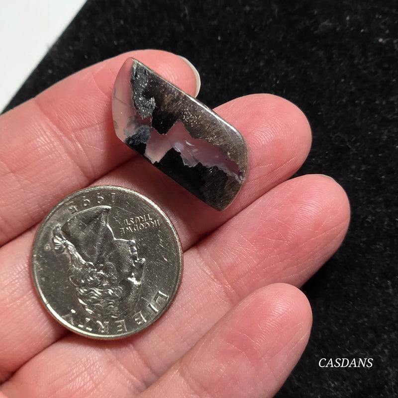Agatized Wood Cabochon