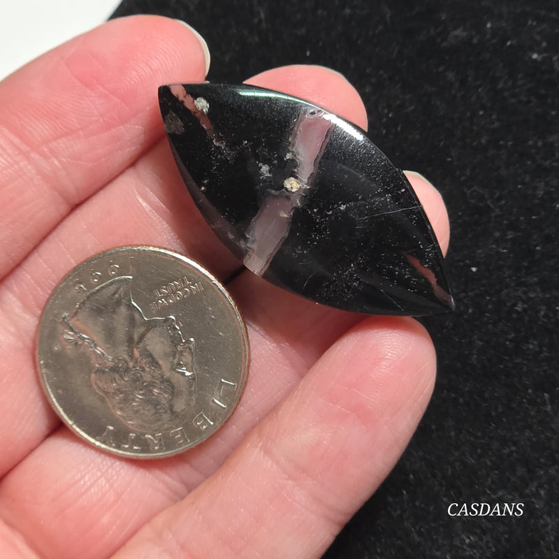 Agatized Wood Cabochon