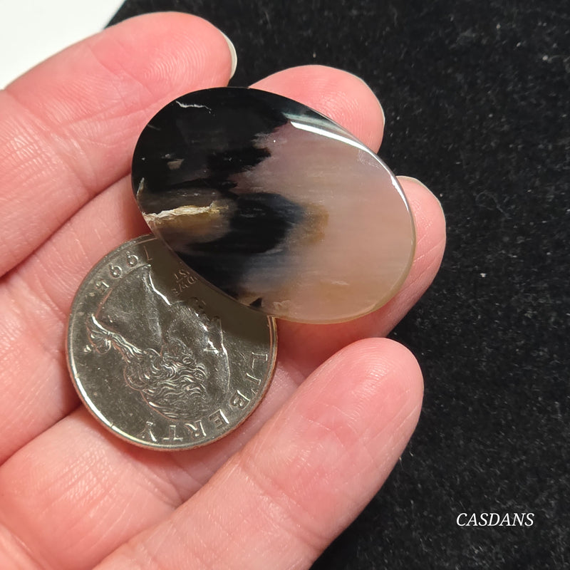 Agatized Wood Cabochon
