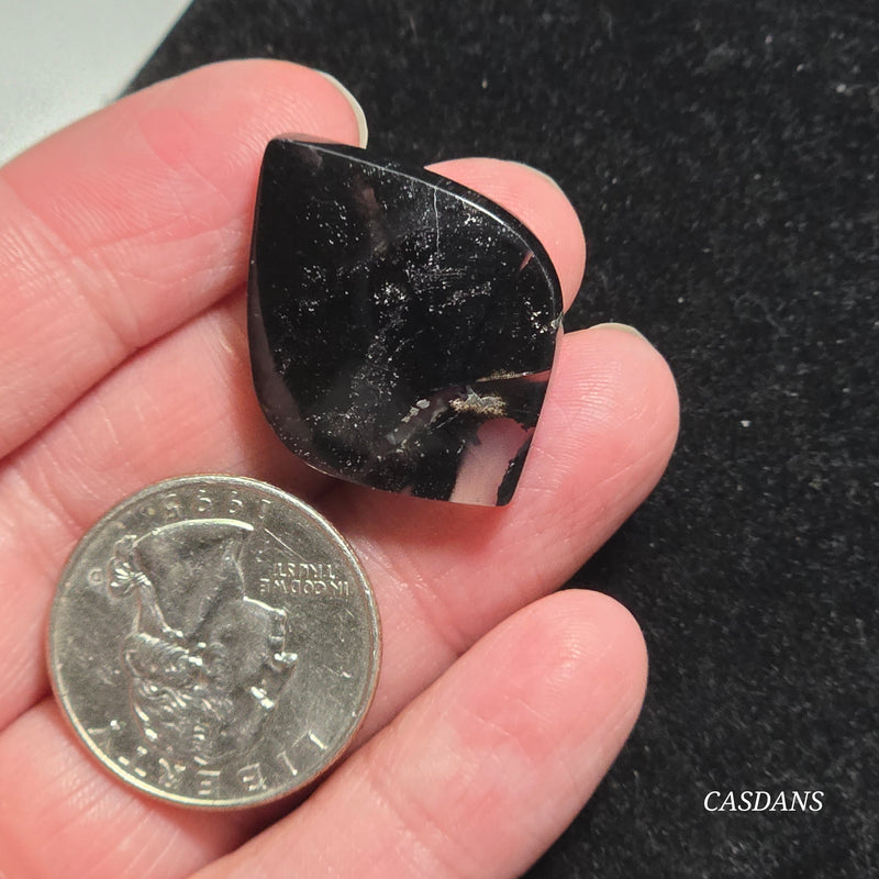 Agatized Wood Cabochon